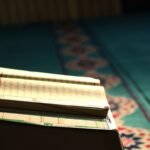 Arabic learning plan with Modern Standard Arabic and dialect study for six-month fluency